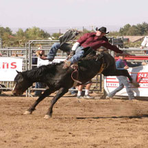 bareback riding