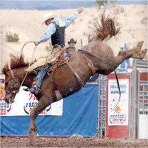 team roping