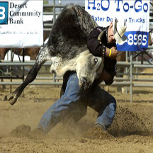 steer wrestling