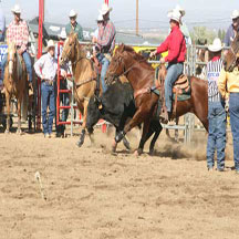 team roping